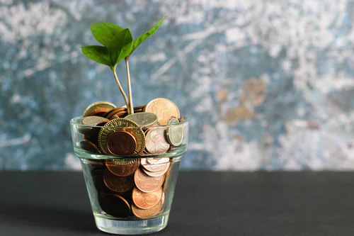 A plant begins to bloom in a planter with coins instead of soil