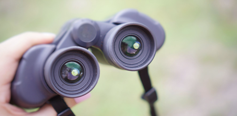 a person holds binoculars