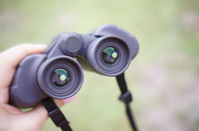 a person holds binoculars