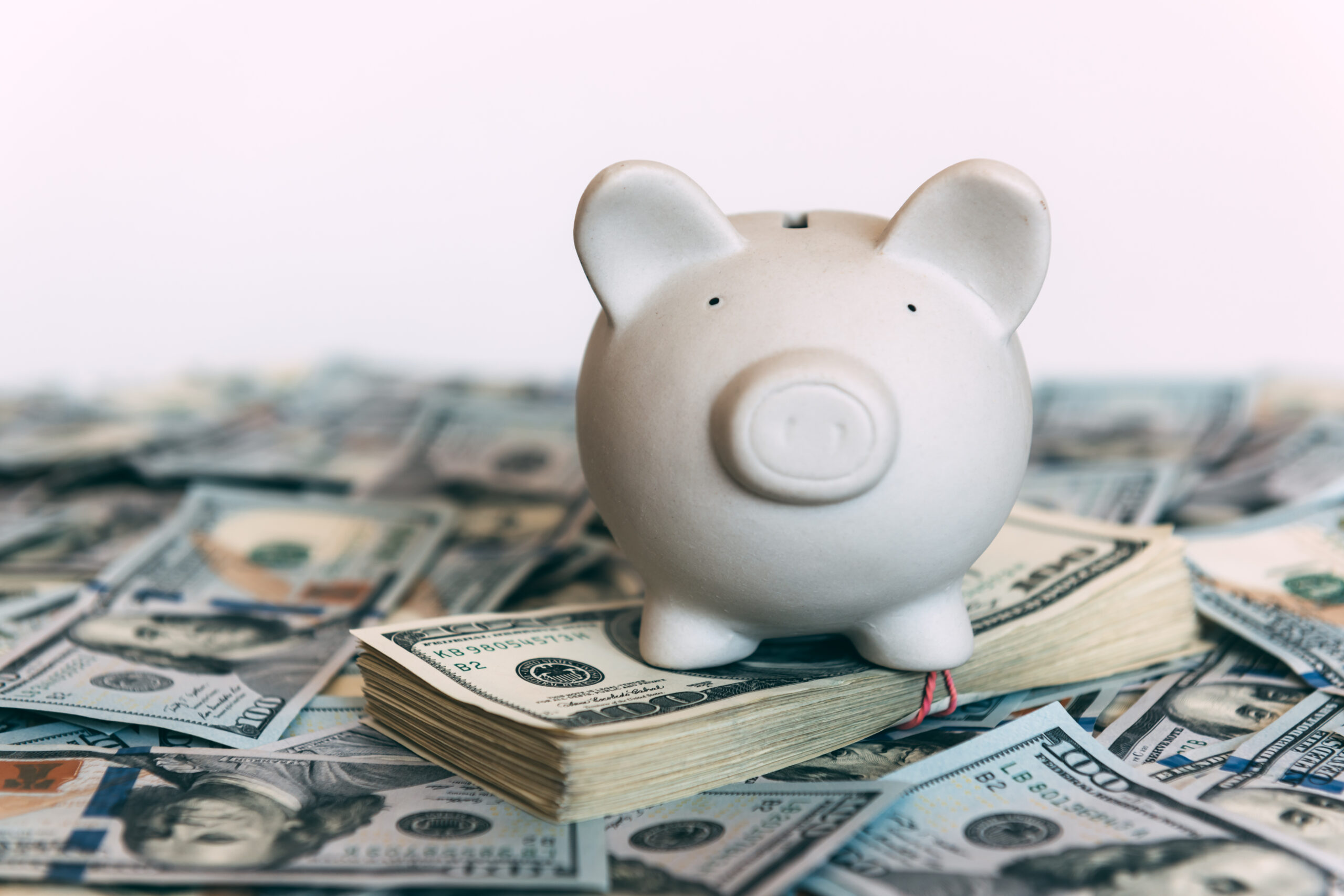 Piggy moneybox with dollar cash closeup. Financial concept